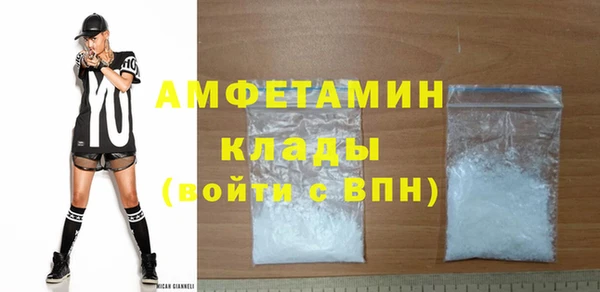 прущий лед Бородино