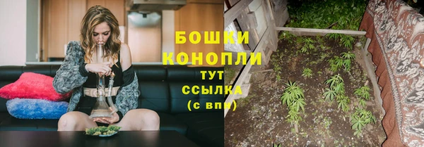 СК Богородицк