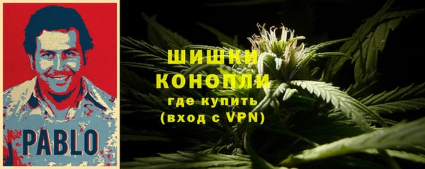 СК Богородицк