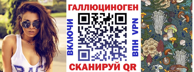 Псилоцибиновые грибы Cubensis Комсомольск